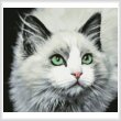 cross stitch pattern Mini Those Eyes