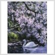 cross stitch pattern Mute Swan