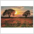 cross stitch pattern Poppies Sunset (Large)