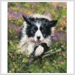 cross stitch pattern Border Collie Running