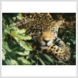 cross stitch pattern Jaguar at Rest