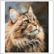 cross stitch pattern Maine Coon