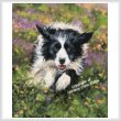 cross stitch pattern Mini Border Collie Running