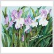 cross stitch pattern Three Lavender Iris
