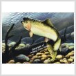 cross stitch pattern Mini Rainbow Trout Swimming
