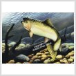 cross stitch pattern Rainbow Trout Swimming