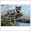 cross stitch pattern Raccoon Family (Large)