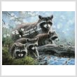 cross stitch pattern Raccoon Family