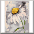 cross stitch pattern Daisy Watercolor
