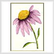 cross stitch pattern Daisy