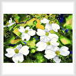 cross stitch pattern Dogwood