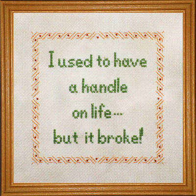 cross stitch pattern Broken Handle on Life