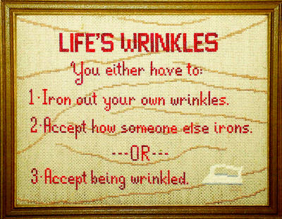 cross stitch pattern Life's Wrinkles