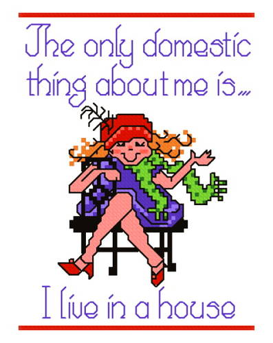 cross stitch pattern Domestic Thing