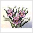 cross stitch pattern Iris Bouquet