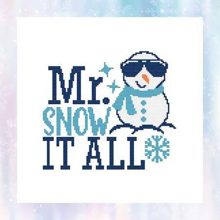 cross stitch pattern Mr Snow It All